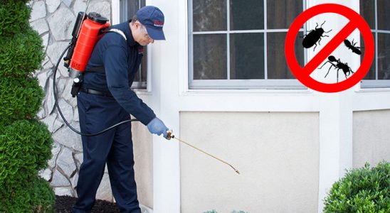 Ömerli Dezenfeksiyon böcek ilaçlama ve haşere kontrolü — ilaclama-tr.com